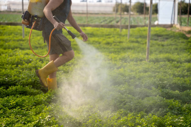 Best Ant Control Services  in Third Lake, IL