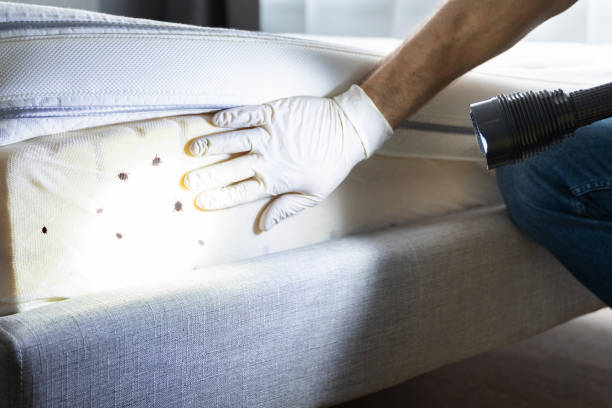 Reliable Third Lake, IL Pest Control Solutions