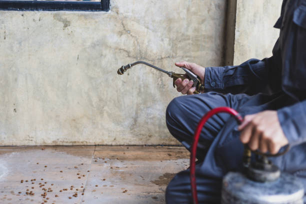Best Emergency Pest Control  in Third Lake, IL