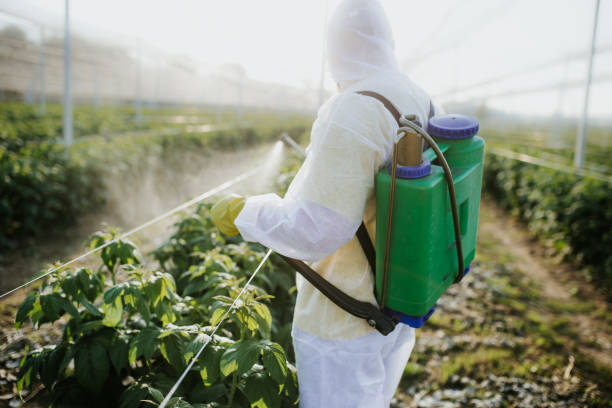 Best Pest Inspection Near Me  in Third Lake, IL